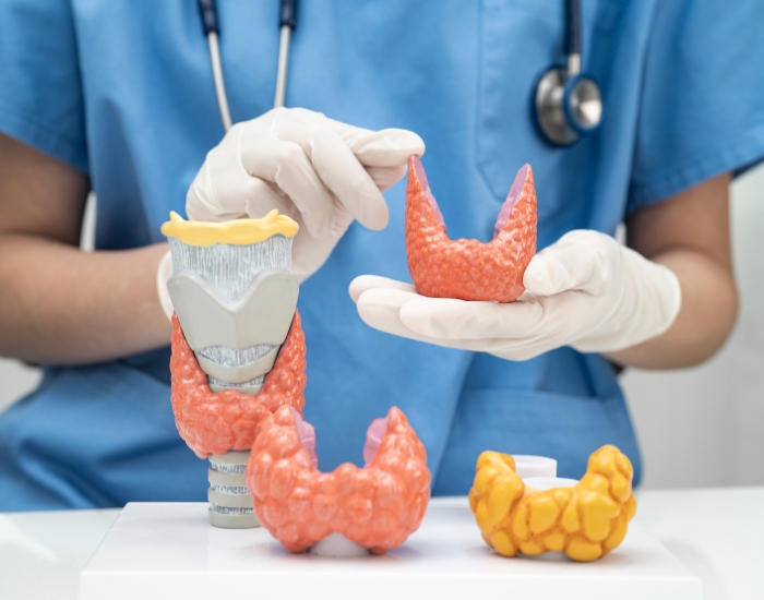 Understanding Thyroid Disorders: Hypothyroidism